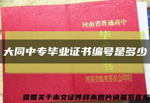 大同中專畢業證書編號是多少縮略圖
