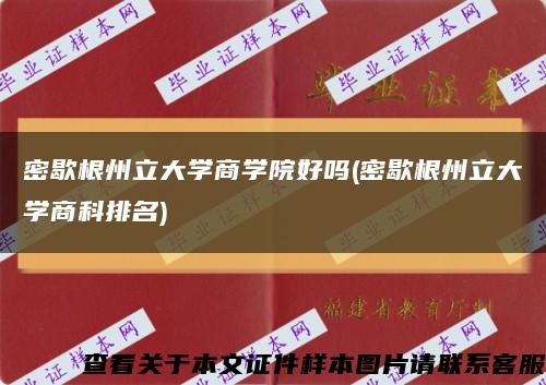 密歇根州立大學商學院好嗎(密歇根州立大學商科排名)縮略圖