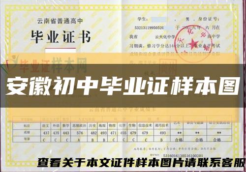 安徽初中畢業證樣本圖縮略圖