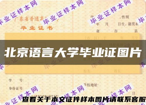 北京語言大學畢業證圖片縮略圖
