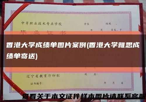 香港大學成績單圖片案例(香港大學雅思成績單寄送)縮略圖