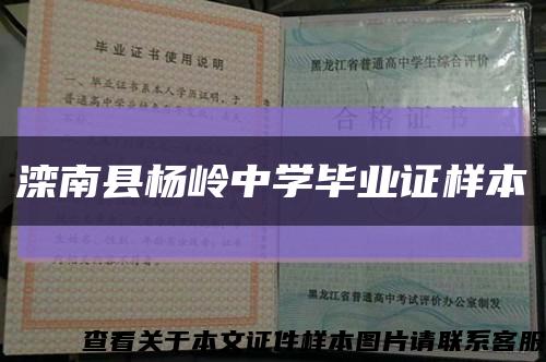 灤南縣楊嶺中學畢業證樣本縮略圖