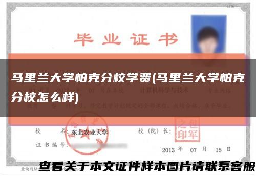 馬里蘭大學帕克分校學費(馬里蘭大學帕克分校怎么樣)縮略圖