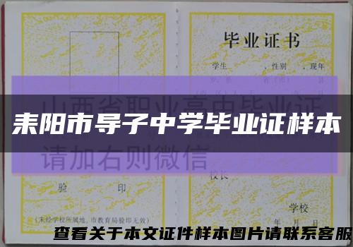 耒陽市導子中學畢業證樣本縮略圖