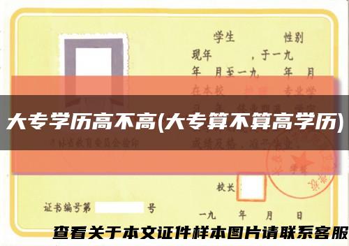大專學歷高不高(大專算不算高學歷)縮略圖