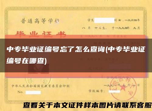 中專畢業證編號忘了怎么查詢(中專畢業證編號在哪查)縮略圖