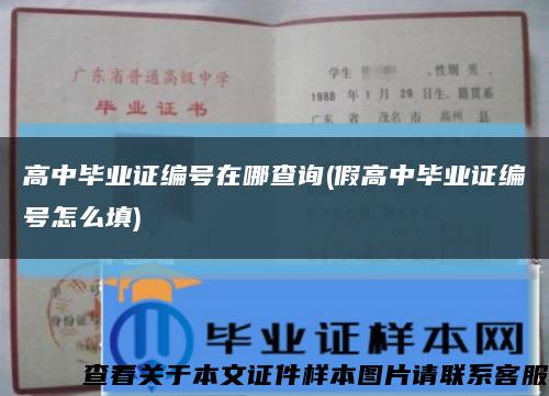 高中畢業證編號在哪查詢(假高中畢業證編號怎么填)縮略圖