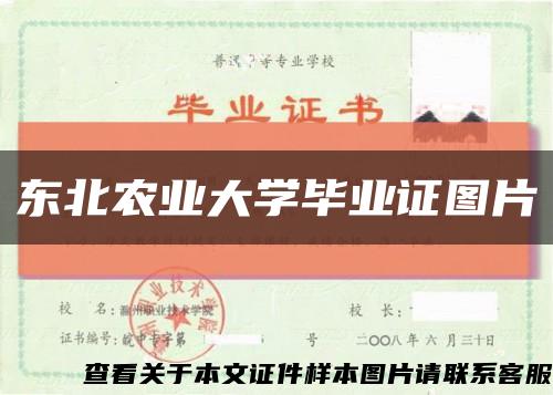 東北農業大學畢業證圖片縮略圖