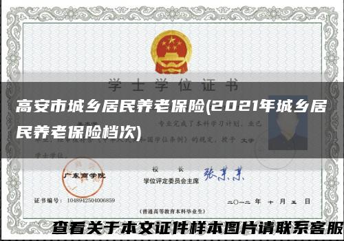 高安市城鄉居民養老保險(2021年城鄉居民養老保險檔次)縮略圖