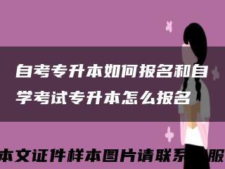 自考專升本如何報名和自學考試專升本怎么報名縮略圖