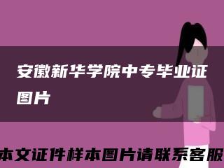 安徽新華學院中專畢業證圖片縮略圖
