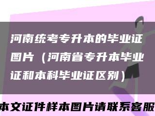 河南統考專升本的畢業證圖片（河南省專升本畢業證和本科畢業證區別）縮略圖