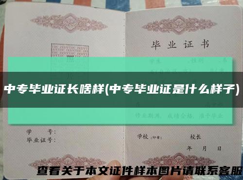 中專畢業證長啥樣(中專畢業證是什么樣子)縮略圖