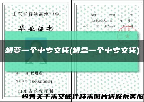 想要一個中專文憑(想拿一個中專文憑)縮略圖