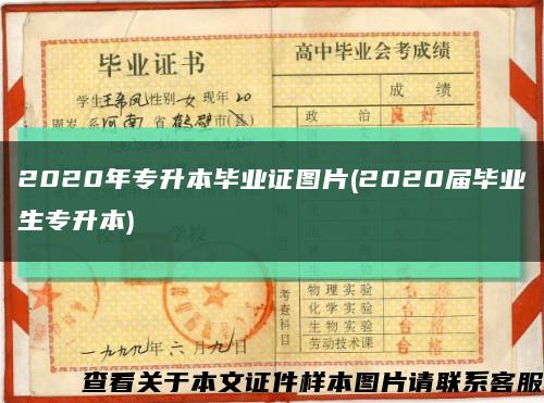 2020年專升本畢業證圖片(2020屆畢業生專升本)縮略圖