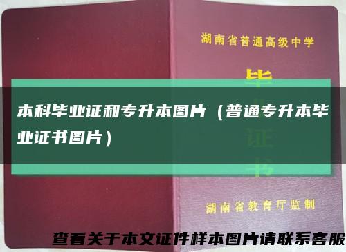 本科畢業證和專升本圖片（普通專升本畢業證書圖片）縮略圖