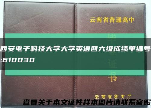 西安電子科技大學大學英語四六級成績單編號:610030縮略圖