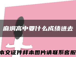 麻垌高中要什么成績進去縮略圖
