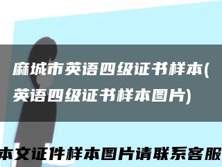 麻城市英語四級證書樣本(英語四級證書樣本圖片)縮略圖