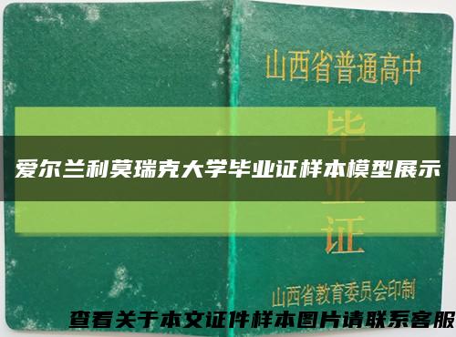 愛爾蘭利莫瑞克大學畢業證樣本模型展示縮略圖