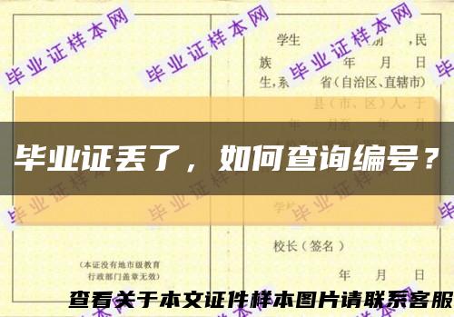 畢業證丟了，如何查詢編號？縮略圖