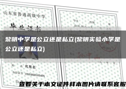 黎明中學是公立還是私立(黎明實驗小學是公立還是私立)縮略圖