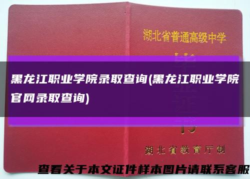 黑龍江職業學院錄取查詢(黑龍江職業學院官網錄取查詢)縮略圖