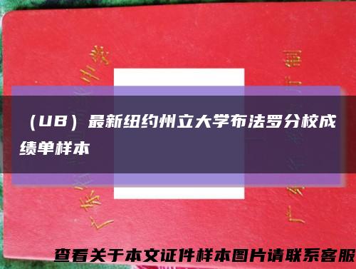 （UB）最新紐約州立大學布法羅分校成績單樣本縮略圖