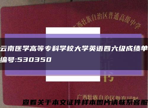 云南醫學高等?？茖W校大學英語四六級成績單編號:530350縮略圖