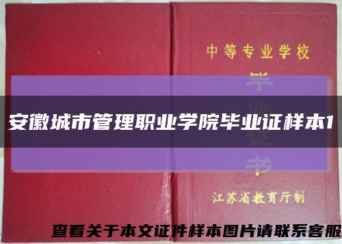 安徽城市管理職業學院畢業證樣本1縮略圖