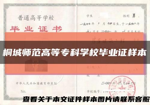 桐城師范高等?？茖W校畢業證樣本縮略圖