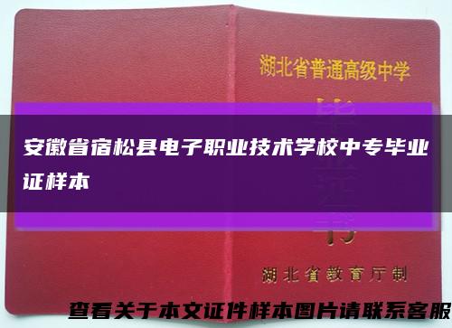 安徽省宿松縣電子職業技術學校中專畢業證樣本縮略圖