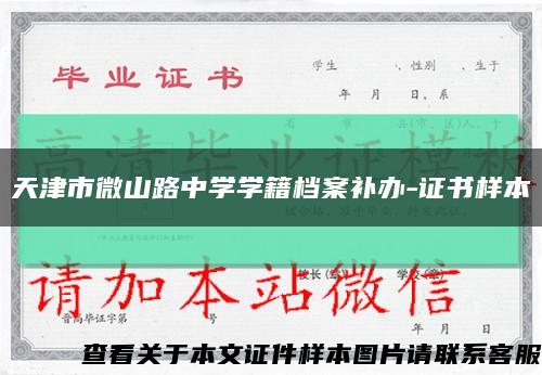 天津市微山路中學學籍檔案補辦-證書樣本縮略圖