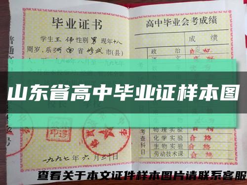 山東省高中畢業證樣本圖縮略圖