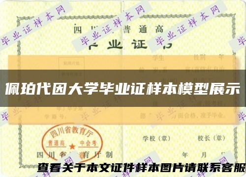 佩珀代因大學畢業證樣本模型展示縮略圖