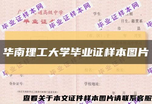 華南理工大學畢業證樣本圖片縮略圖
