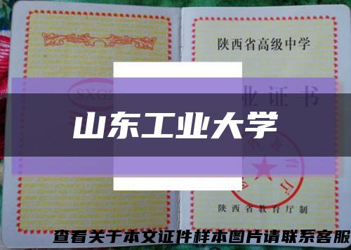 山東工業大學縮略圖
