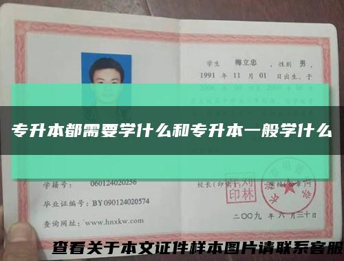專升本都需要學什么和專升本一般學什么縮略圖