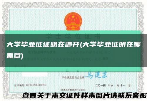 大學畢業證證明在哪開(大學畢業證明在哪蓋章)縮略圖