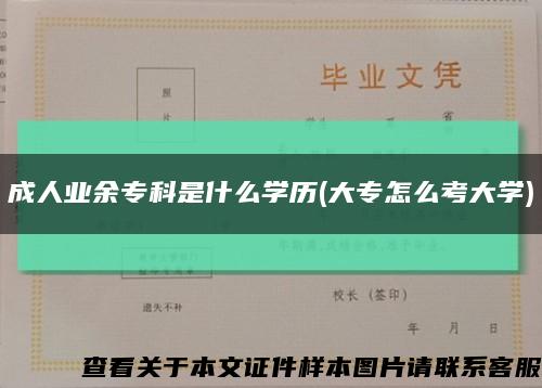 成人業余?？剖鞘裁磳W歷(大專怎么考大學)縮略圖