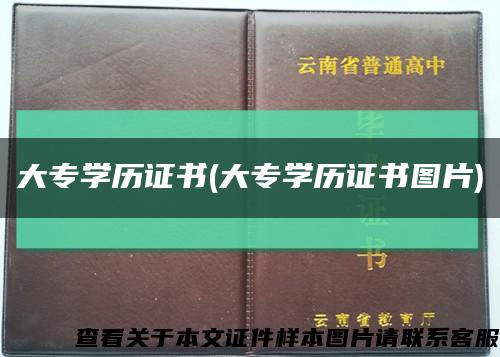 大專學歷證書(大專學歷證書圖片)縮略圖