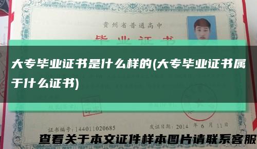 大專畢業證書是什么樣的(大專畢業證書屬于什么證書)縮略圖