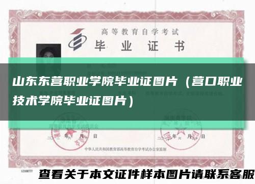 山東東營職業學院畢業證圖片（營口職業技術學院畢業證圖片）縮略圖