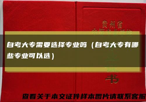 自考大專需要選擇專業嗎（自考大專有哪些專業可以選）縮略圖