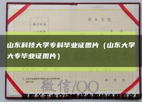 山東科技大學?？飘厴I證圖片（山東大學大專畢業證圖片）縮略圖