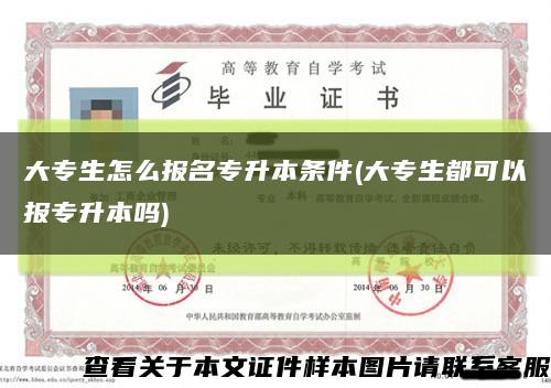 大專生怎么報名專升本條件(大專生都可以報專升本嗎)縮略圖