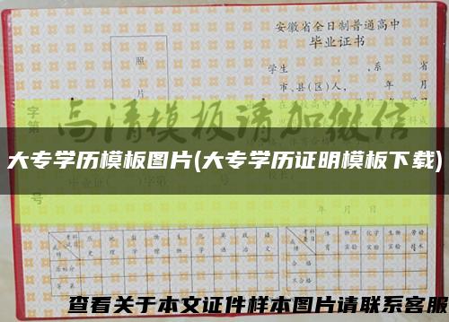 大專學歷模板圖片(大專學歷證明模板下載)縮略圖