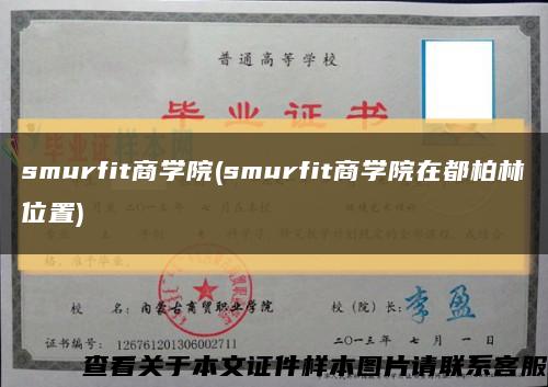 smurfit商學院(smurfit商學院在都柏林位置)縮略圖