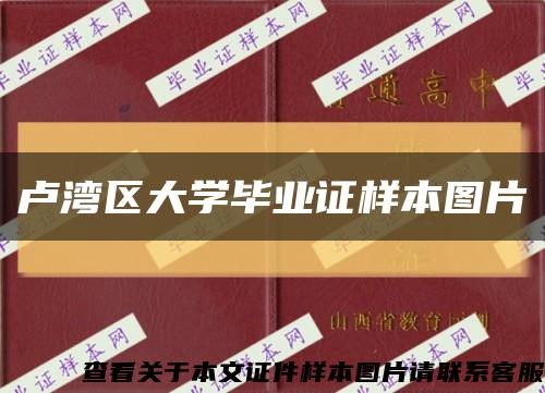 盧灣區大學畢業證樣本圖片縮略圖