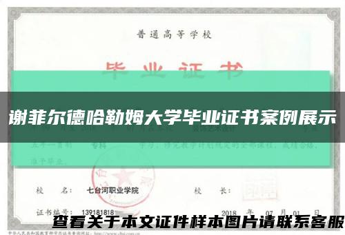 謝菲爾德哈勒姆大學畢業證書案例展示縮略圖